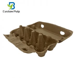 Natural 10 Cells Egg Carton 012